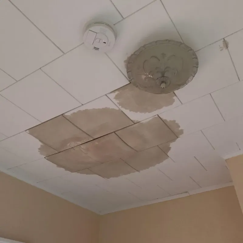 Ceiling Water Damage Repair in Platte County, MO